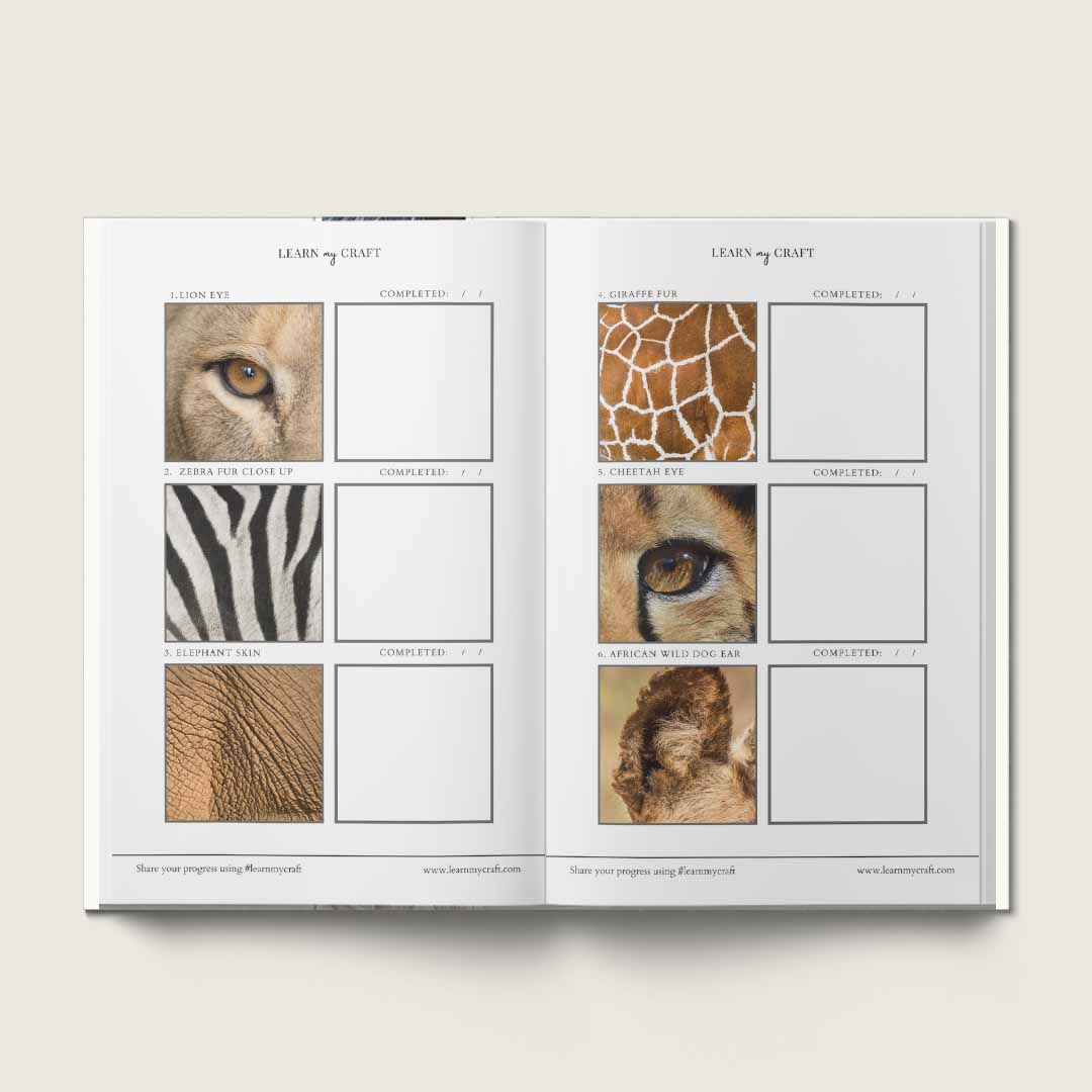 Practice journal African Wildlife inside 1