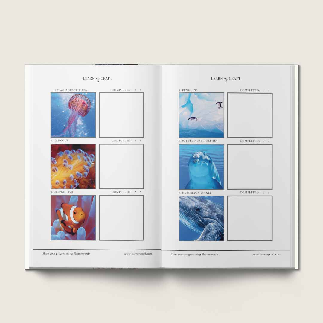 Practice Journal Marine Life inside 1