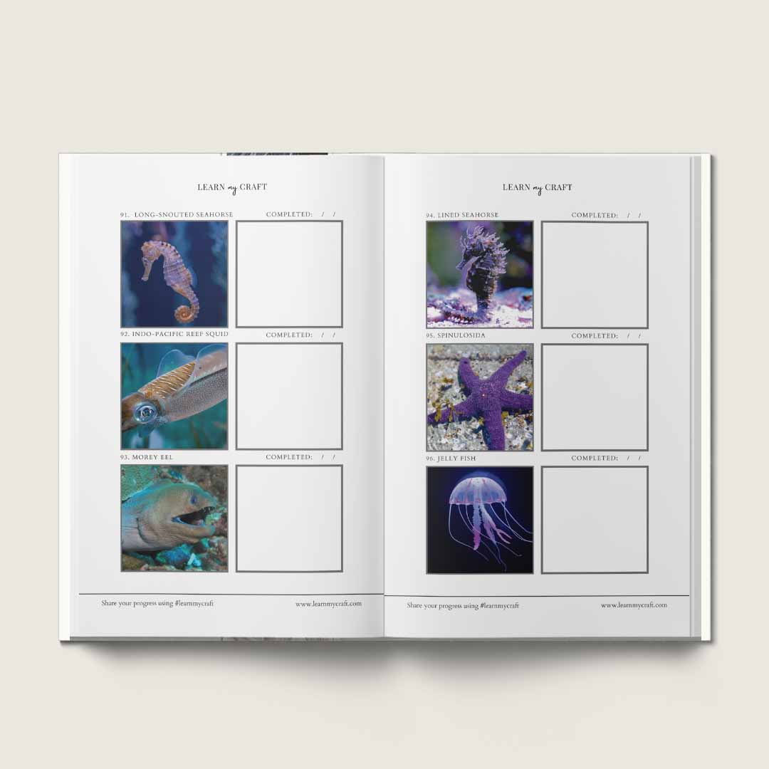 Practice Journal Marine Life inside 2