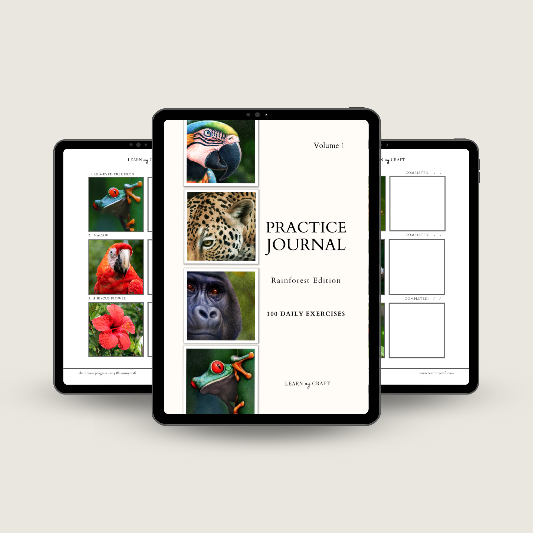 Practice journal Rainforest printable (5)